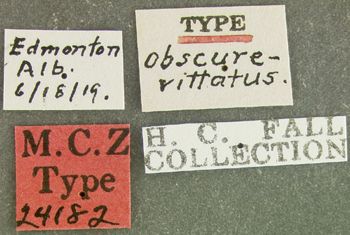 Media type: image;   Entomology 24182 Aspect: labels